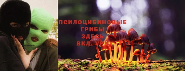 ECSTASY Абаза
