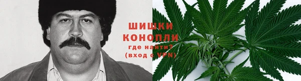 ECSTASY Абаза