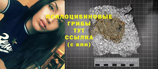 спиды Дедовск