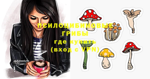 ECSTASY Абаза