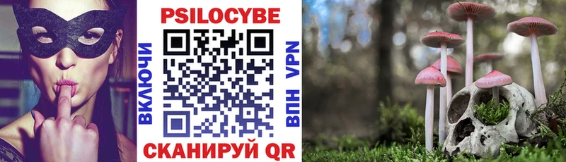купить наркотики сайты  Тихвин  Псилоцибиновые грибы ЛСД 